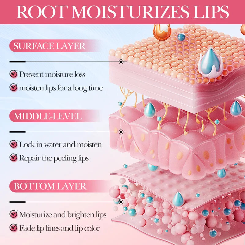 Diagram of lip moisturizer layers with text explaining their functions.