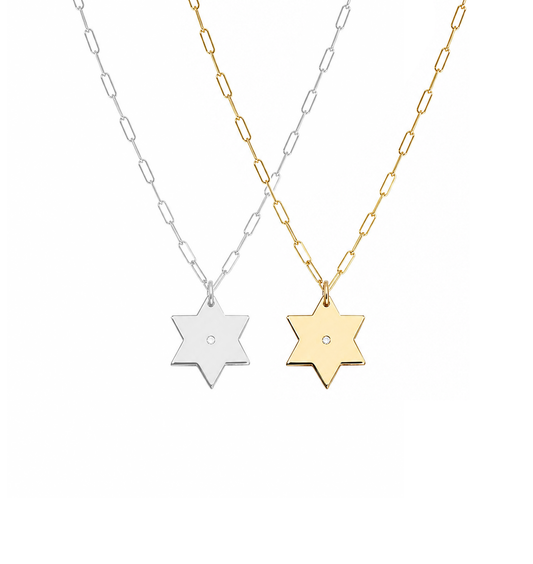Liz Star of David Paperclip Necklace