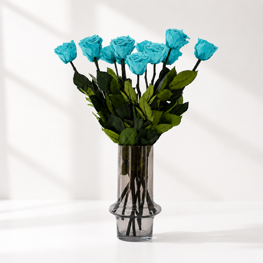 Long Stem Roses | Turquoise Roses