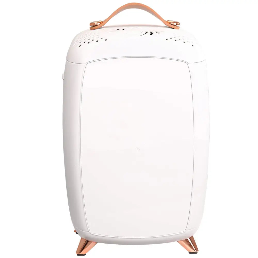 Luxury Skin Care 6L Mini Fridge with Mirror