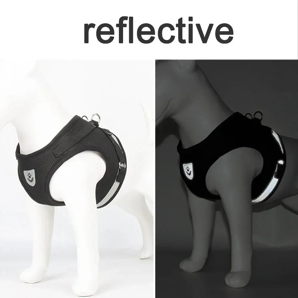 Reflective Cat Harness and Leash for Every Adventure