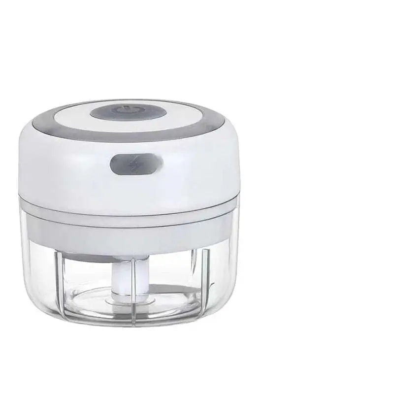 Mini Electric Garlic Chopper with Glass Bowl