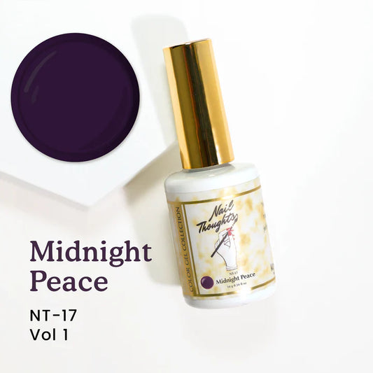 Nail Thoughts - NT-17 Midnight Peace-0
