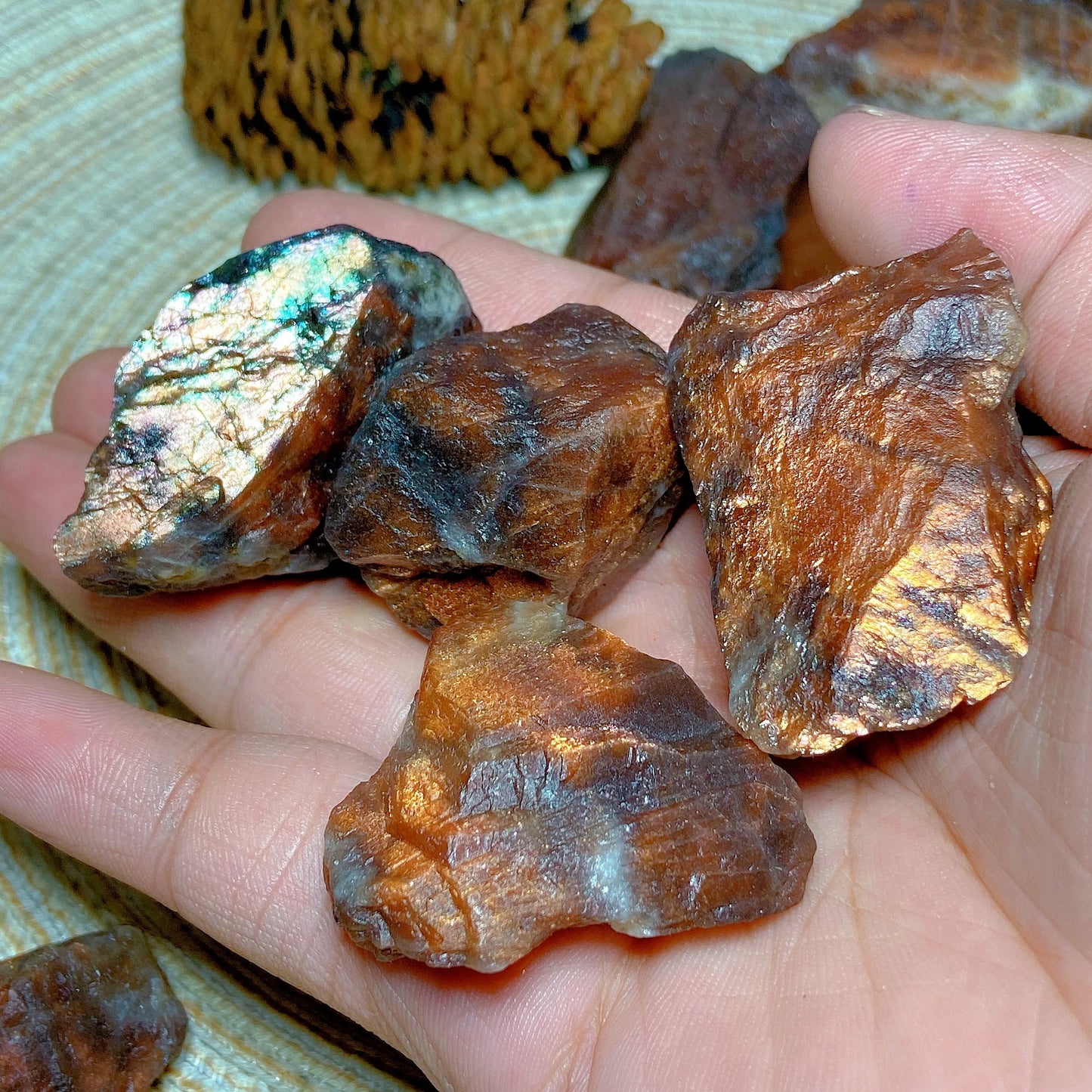 Hand holding several rough, metallic brown rocks with a natural background