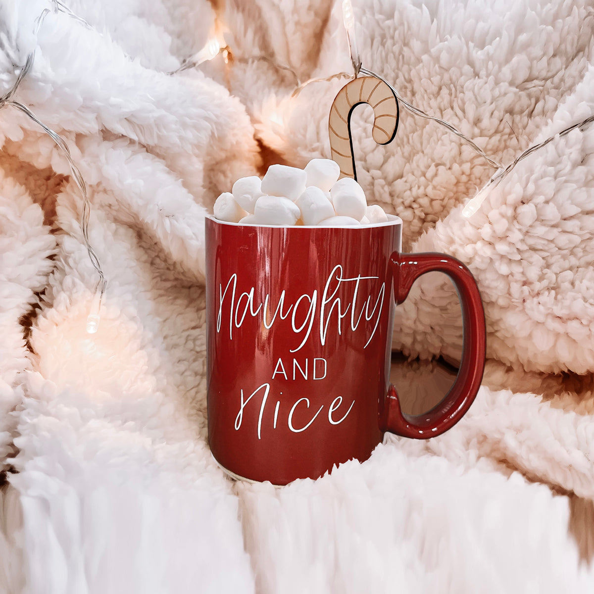 Naughty & Nice-3