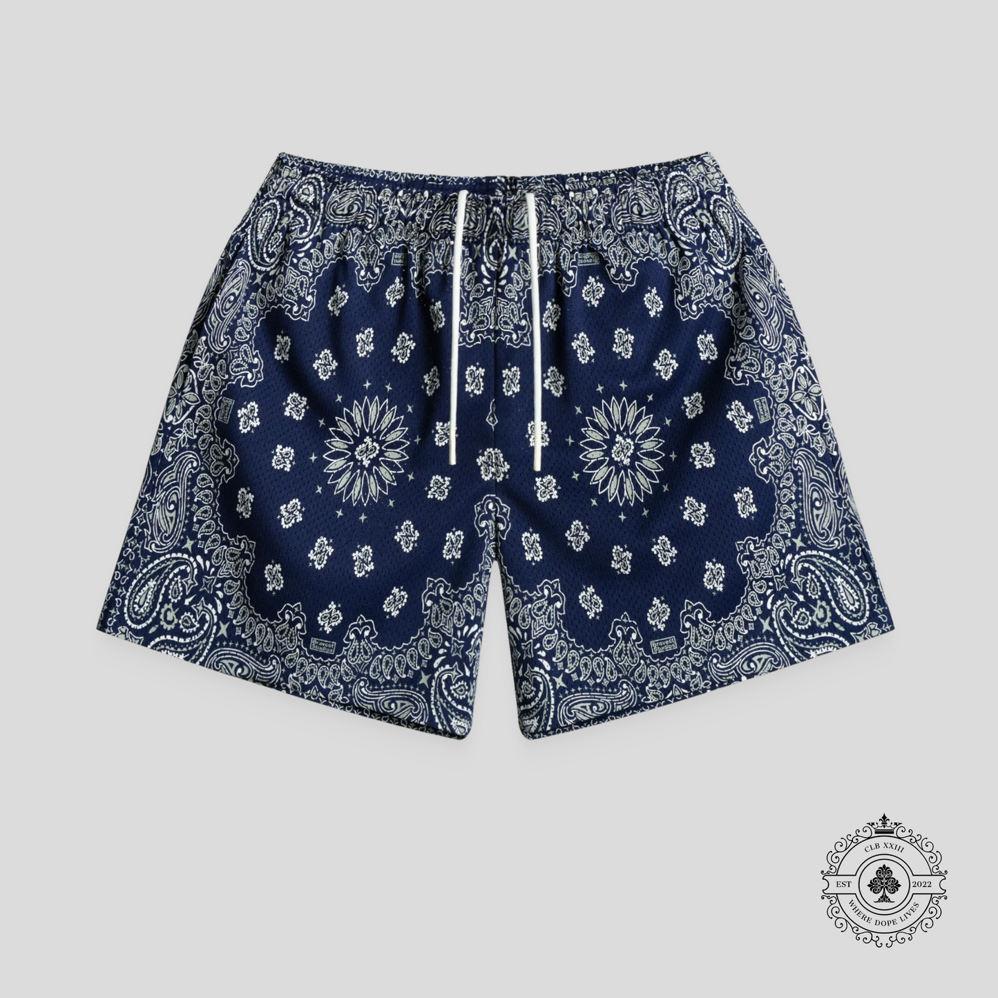 Bravest Studios Screenprinted Paisley Two-Tone Shorts in Navy