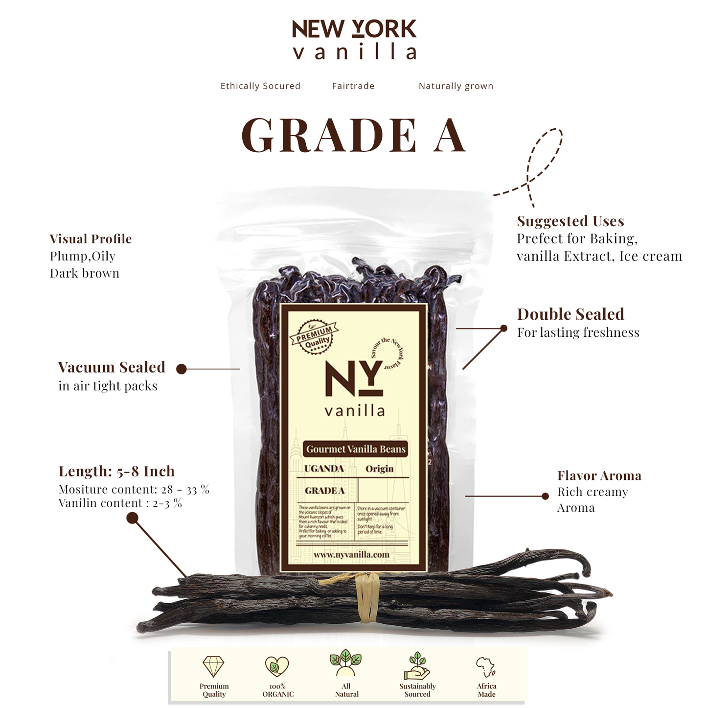 SPECIAL 12 lb. Bulk Gourmet Vanilla Beans – Premium Grade A Vanilla Bean Pods for Baking & Extract