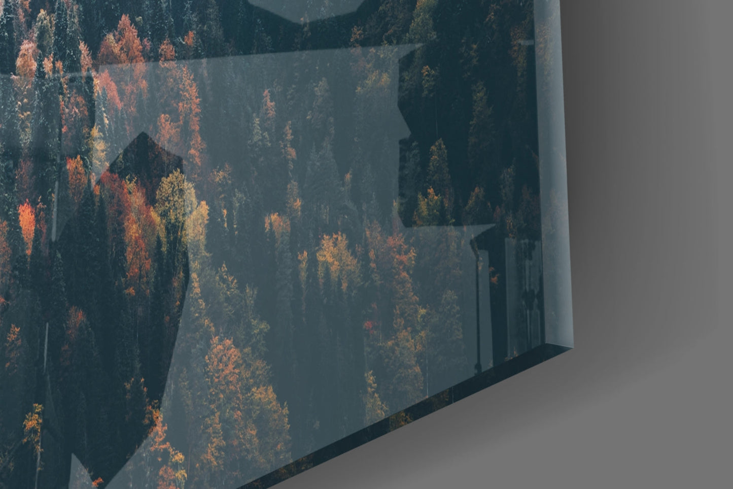 Forest Glass Wall Art
