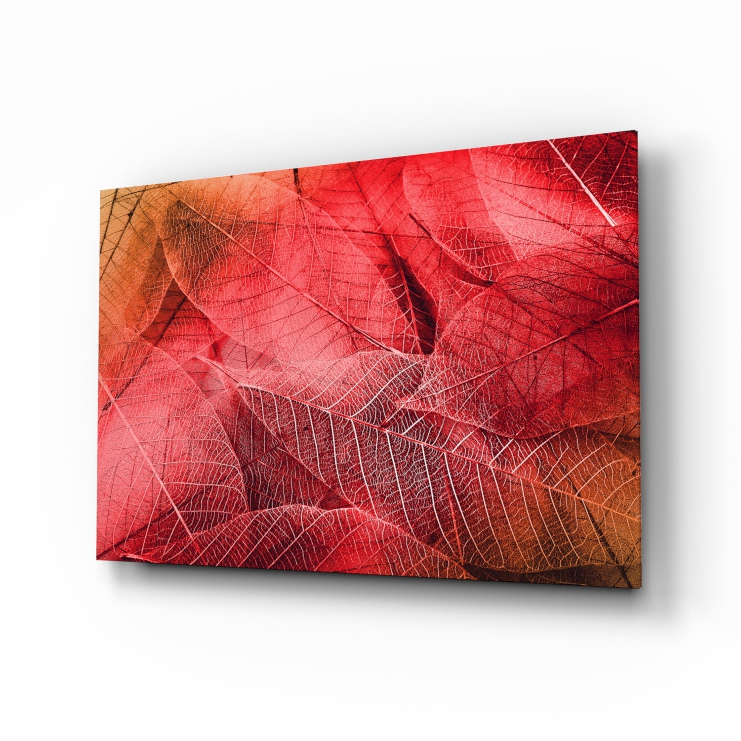Macro Red Leaf Glass Wall Art-0