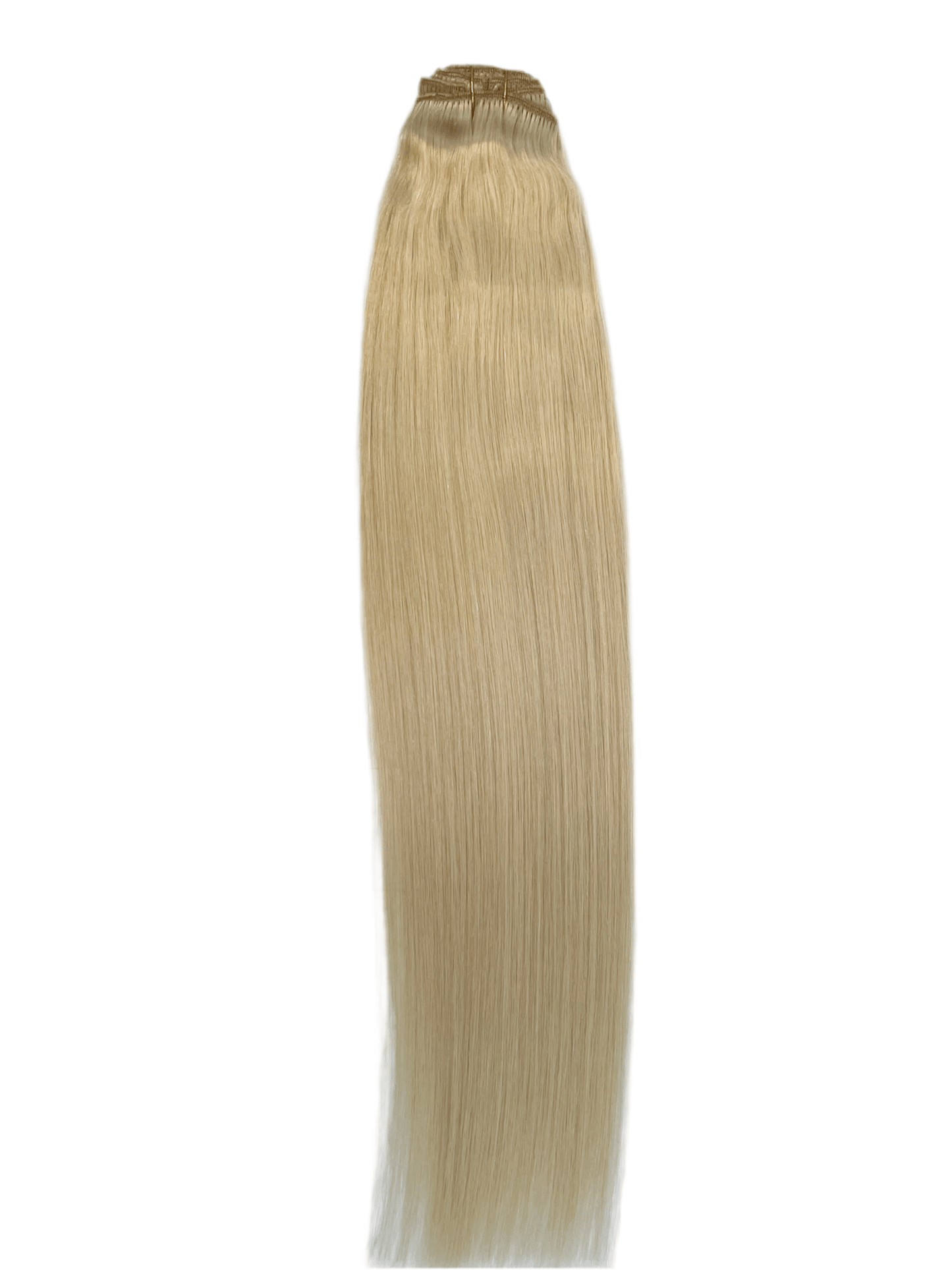 VIP Clip Extensions / Silky Straight - 24'' (170 g ) - ClipeX System