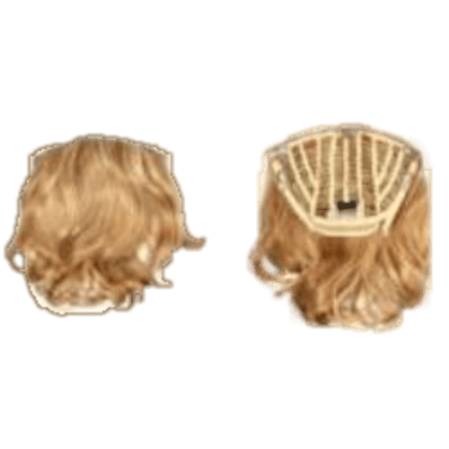 Pallet # 161 -  Lot of  Hair - variety of styles and colors