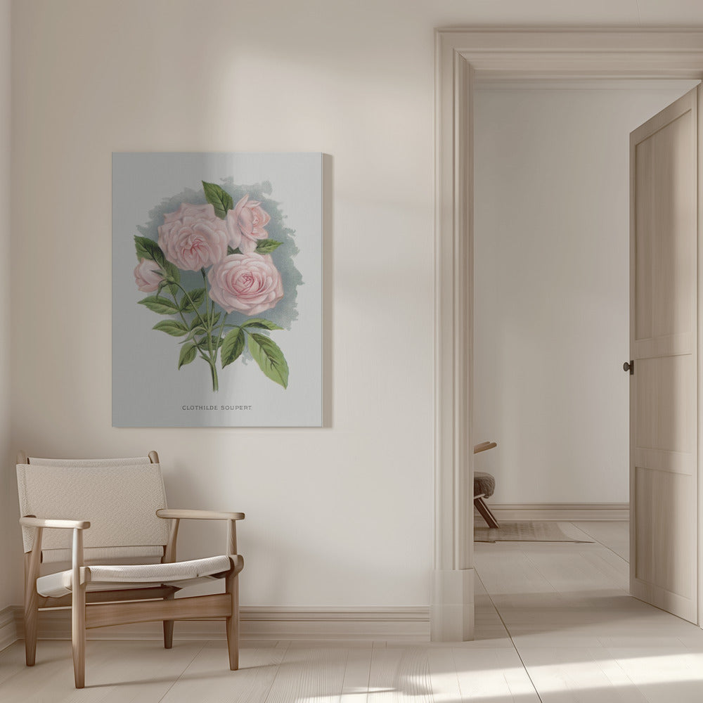 Wall Art Pink Rose, Clothilde Soupert Lithograph