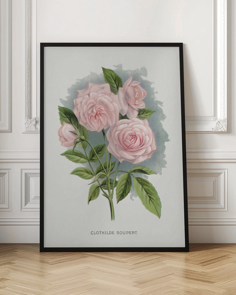 Wall Art Pink Rose, Clothilde Soupert Lithograph