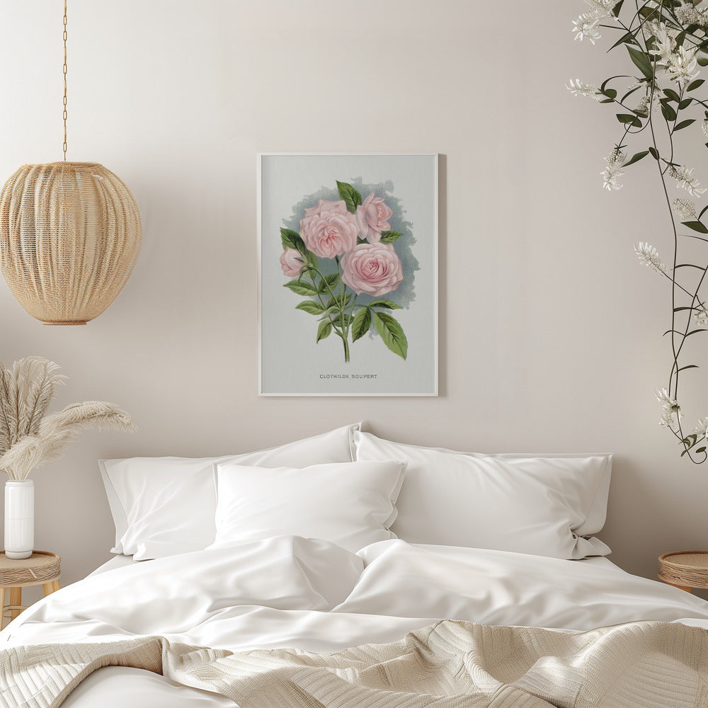 Wall Art Pink Rose, Clothilde Soupert Lithograph