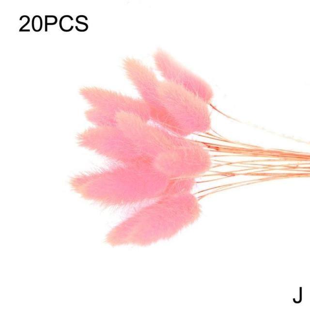 Real Dried Grass Reed Flower Natural Dry Small Bulrush Bouquet Pampas Reeds Home Decoration Wedding Decor Pompass Grass Branches for Vase Artificial Grass Room Décor Wedding Decorations