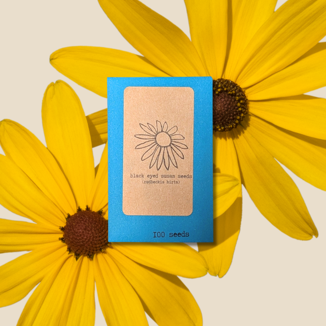 Rudbeckia Hirta "Black Eyed Susan" Seeds