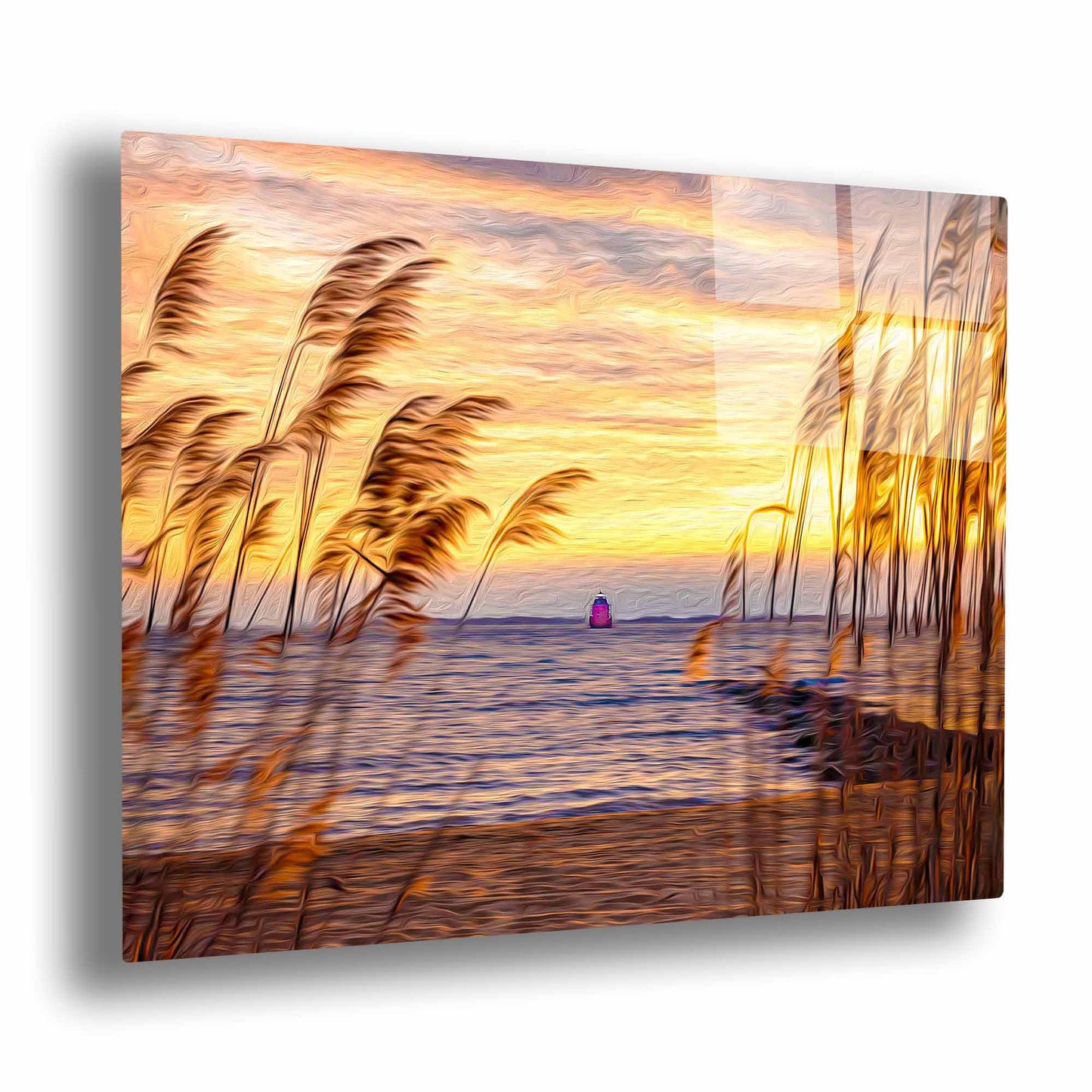 Sandy Point (Sandy Point)-10
