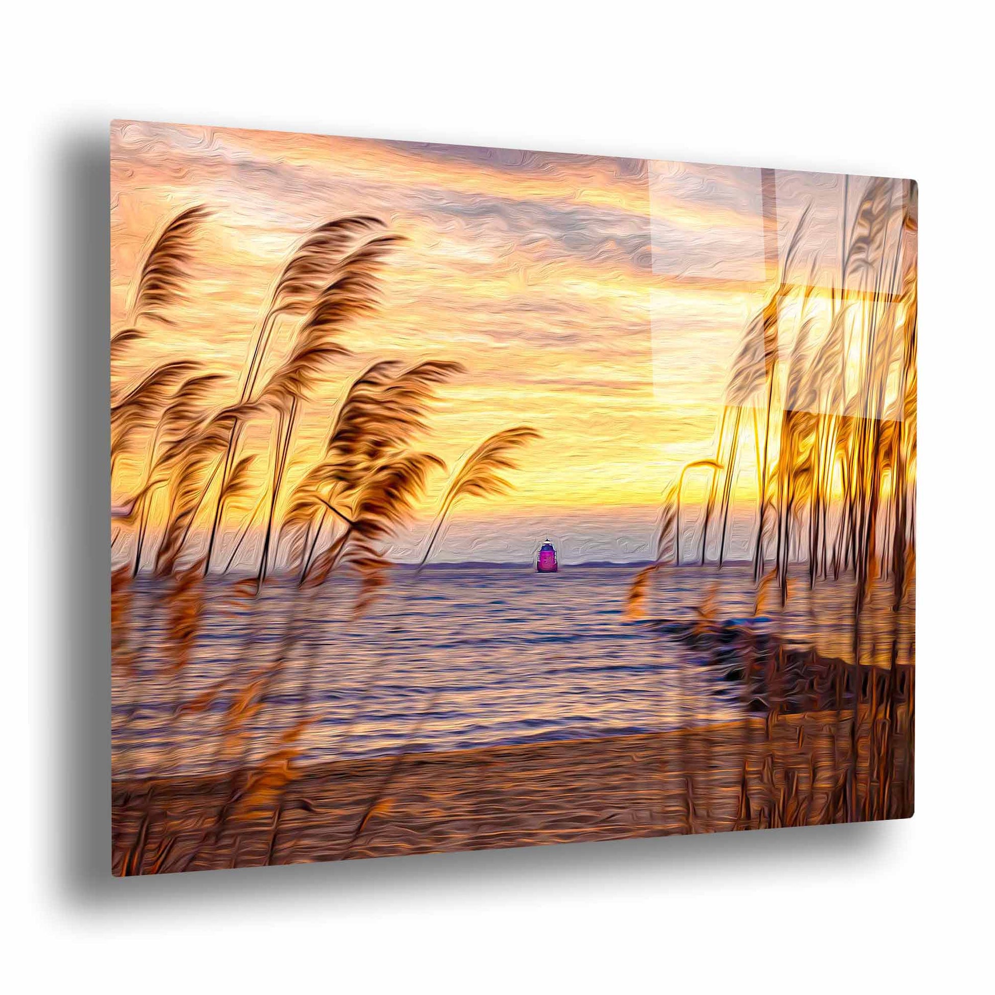 Sandy Point (Sandy Point)-10