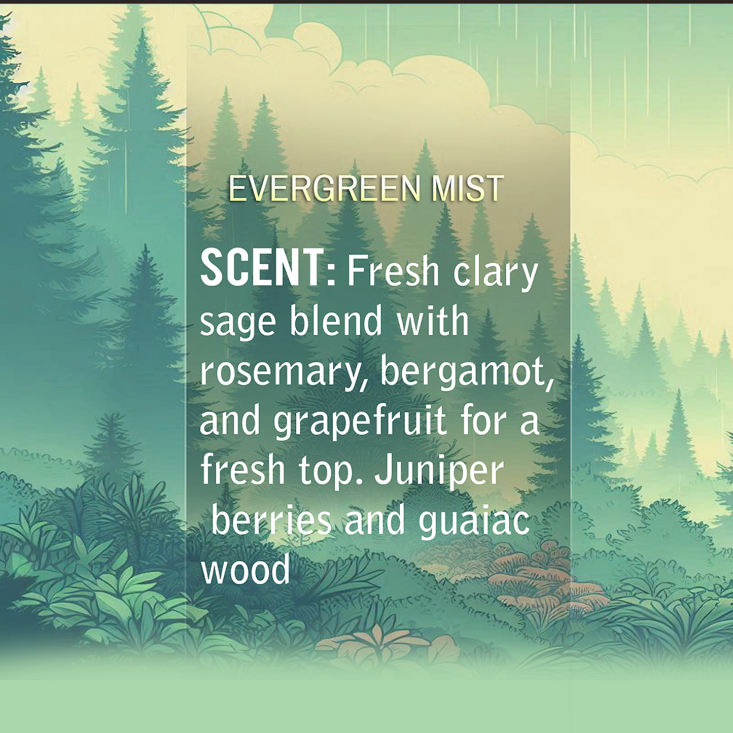 Evergreen Mist Natural Body Lotion-3