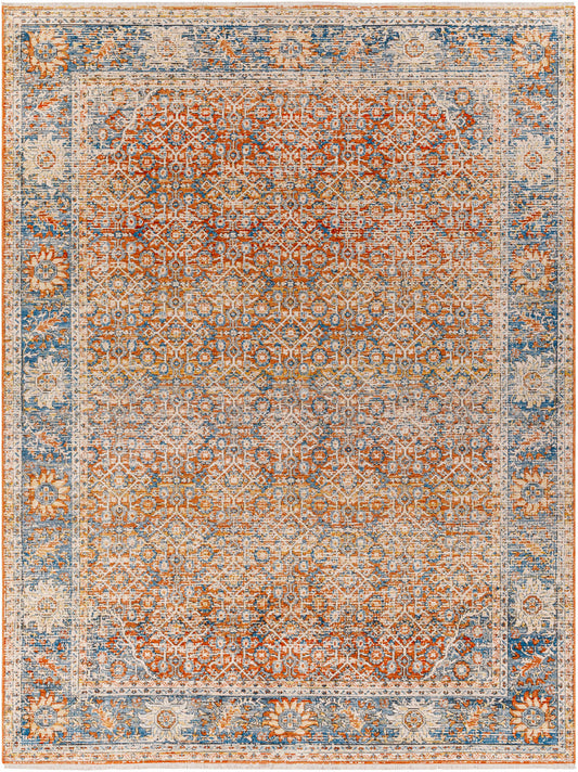 Dalit Area Rug - Clearance-0