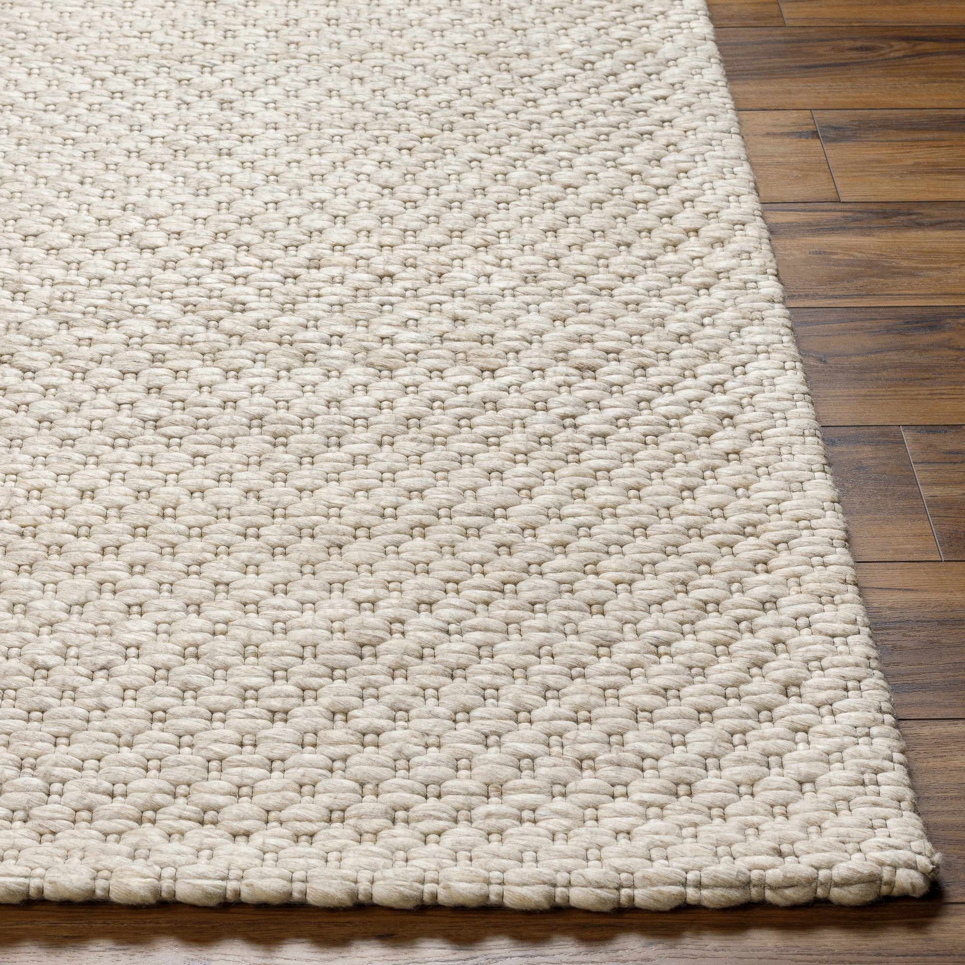 Kassa Beige Hand Woven Area Rug-2