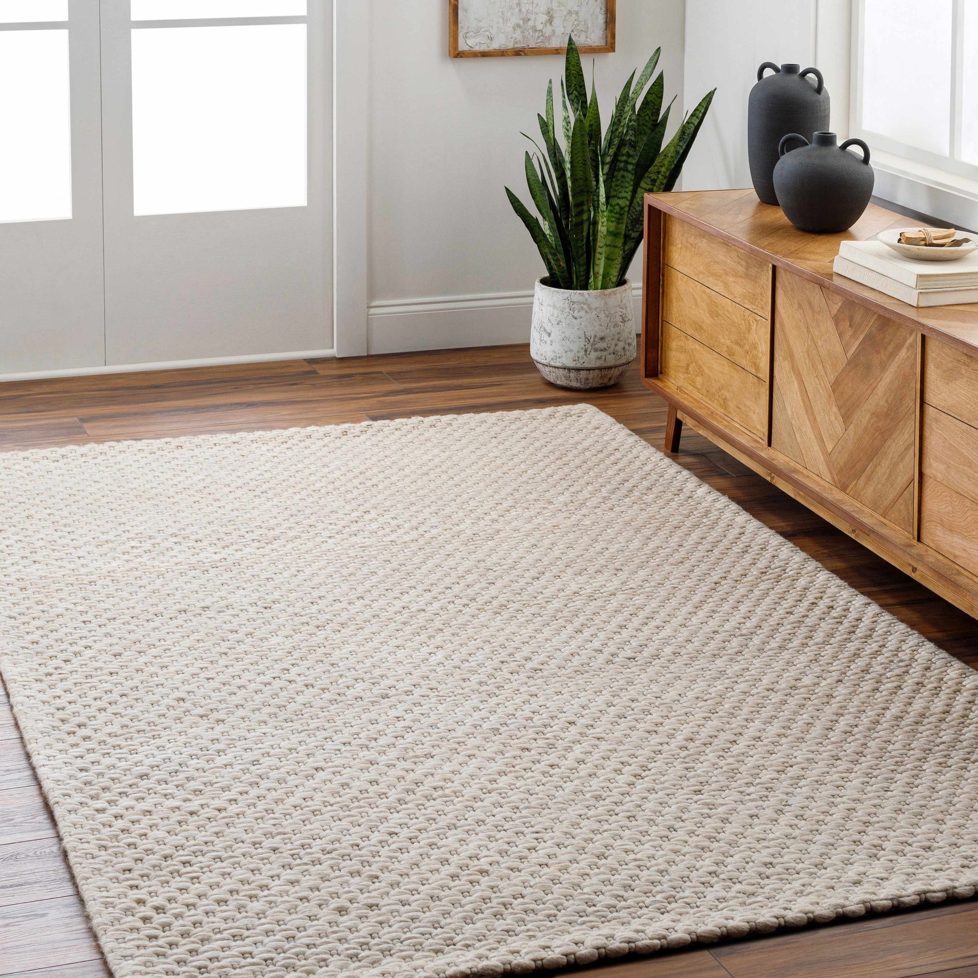 Kassa Beige Hand Woven Area Rug-1