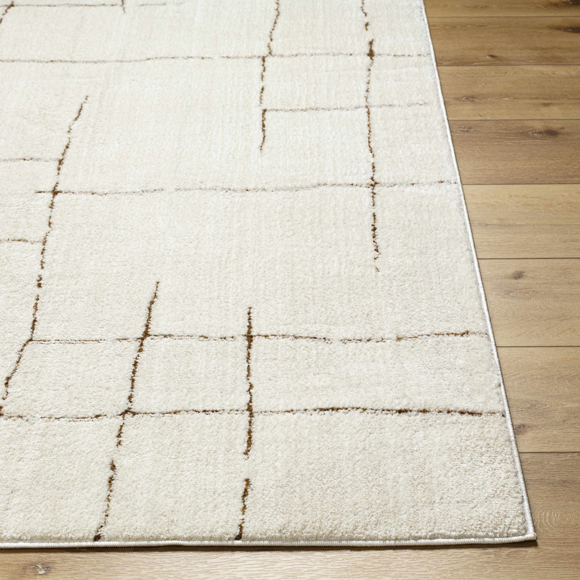 Koume Ivory & Brown Area Rug-4