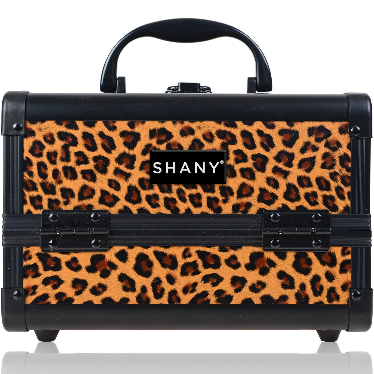 Chic Makeup Train Case with Mirror