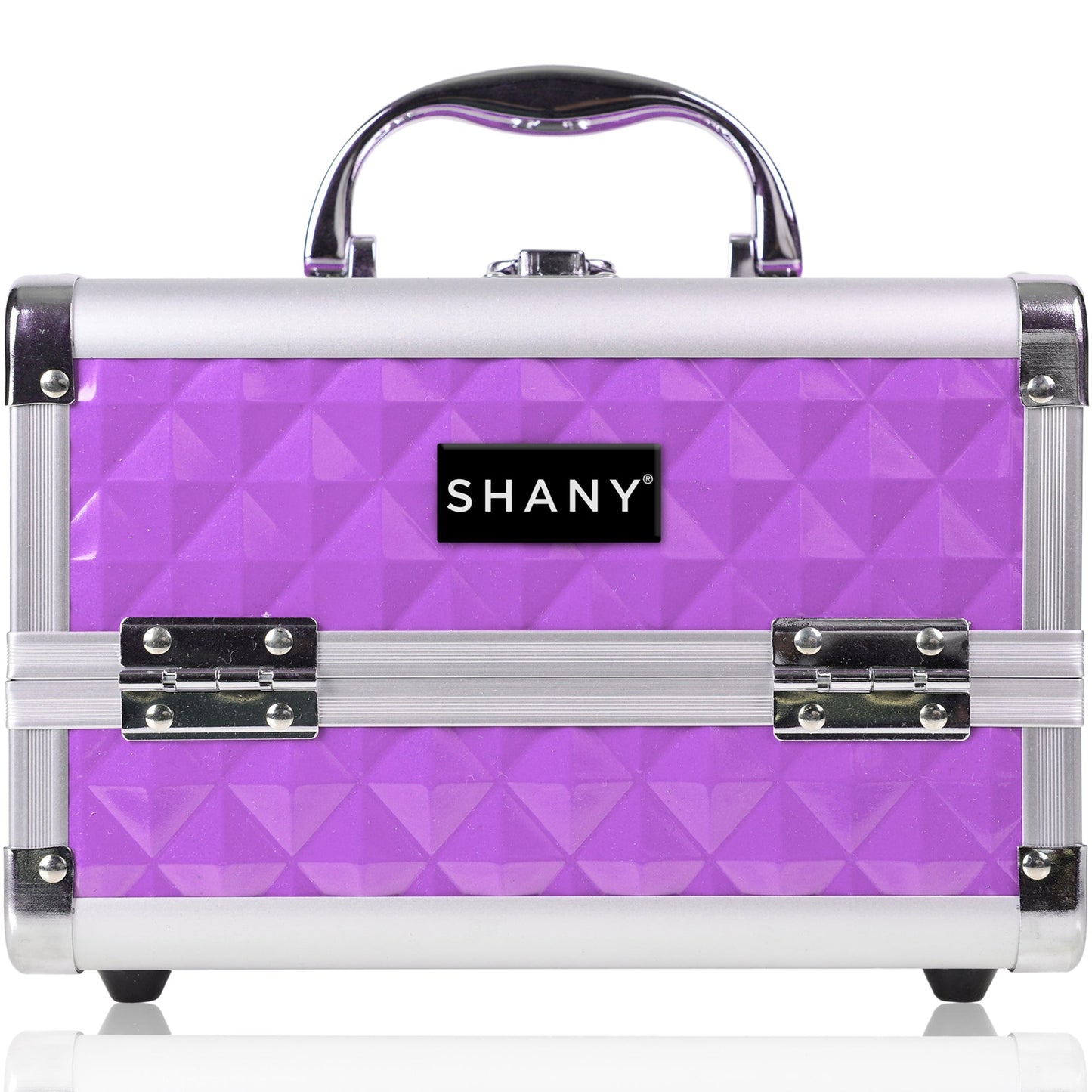 Chic Makeup Train Case with Mirror