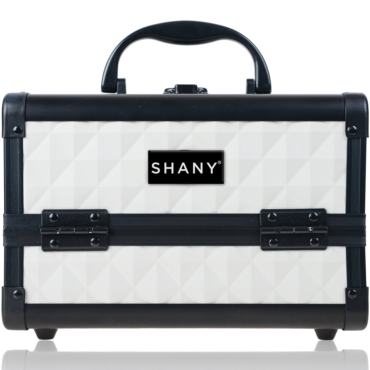 Chic Makeup Train Case with Mirror