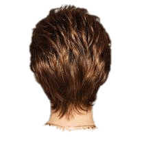 Shape Up by Gabor
