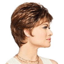 Shape Up by Gabor