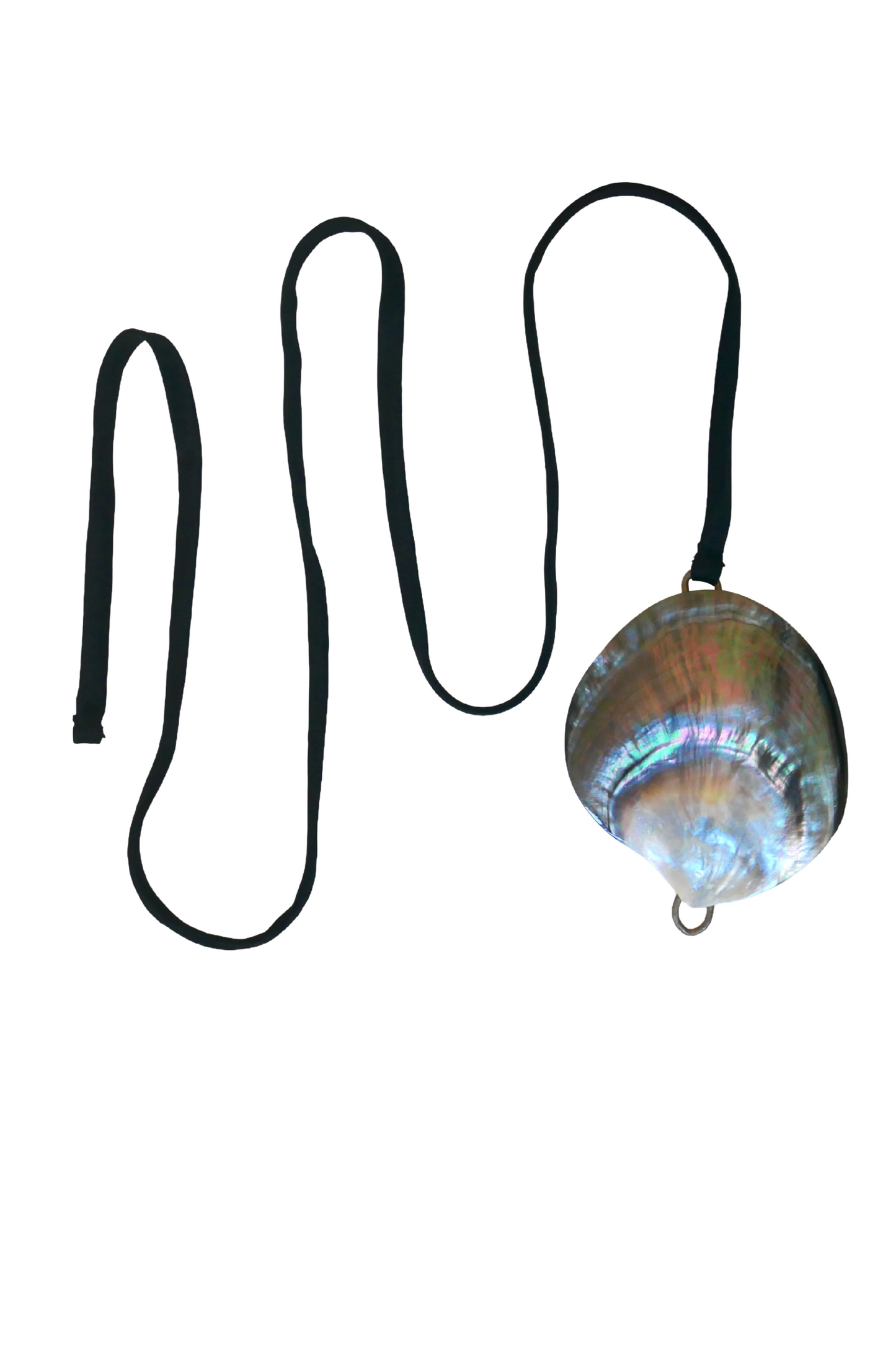 Shell Belt