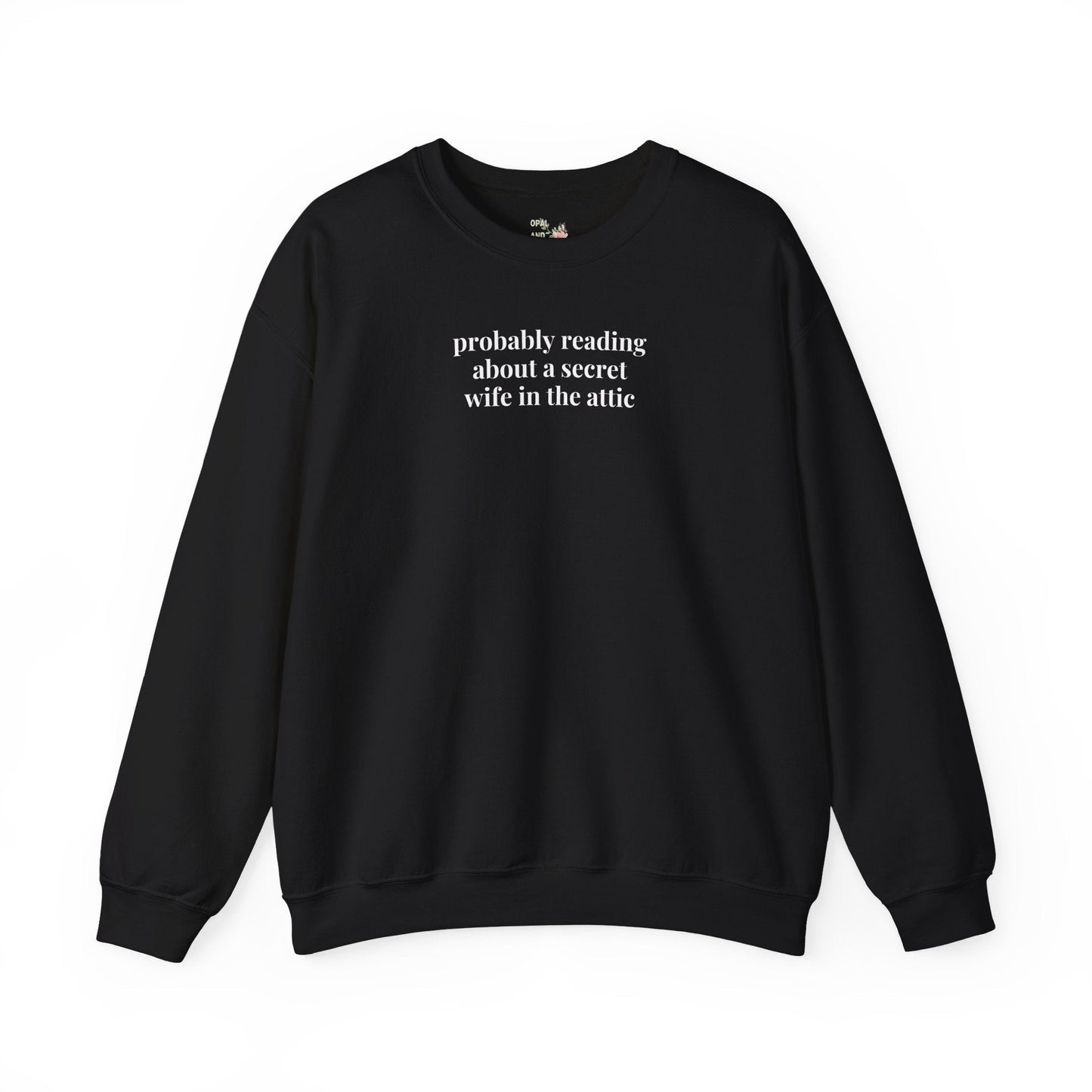 Silly Jane Eyre Sweatshirt for Bookworm