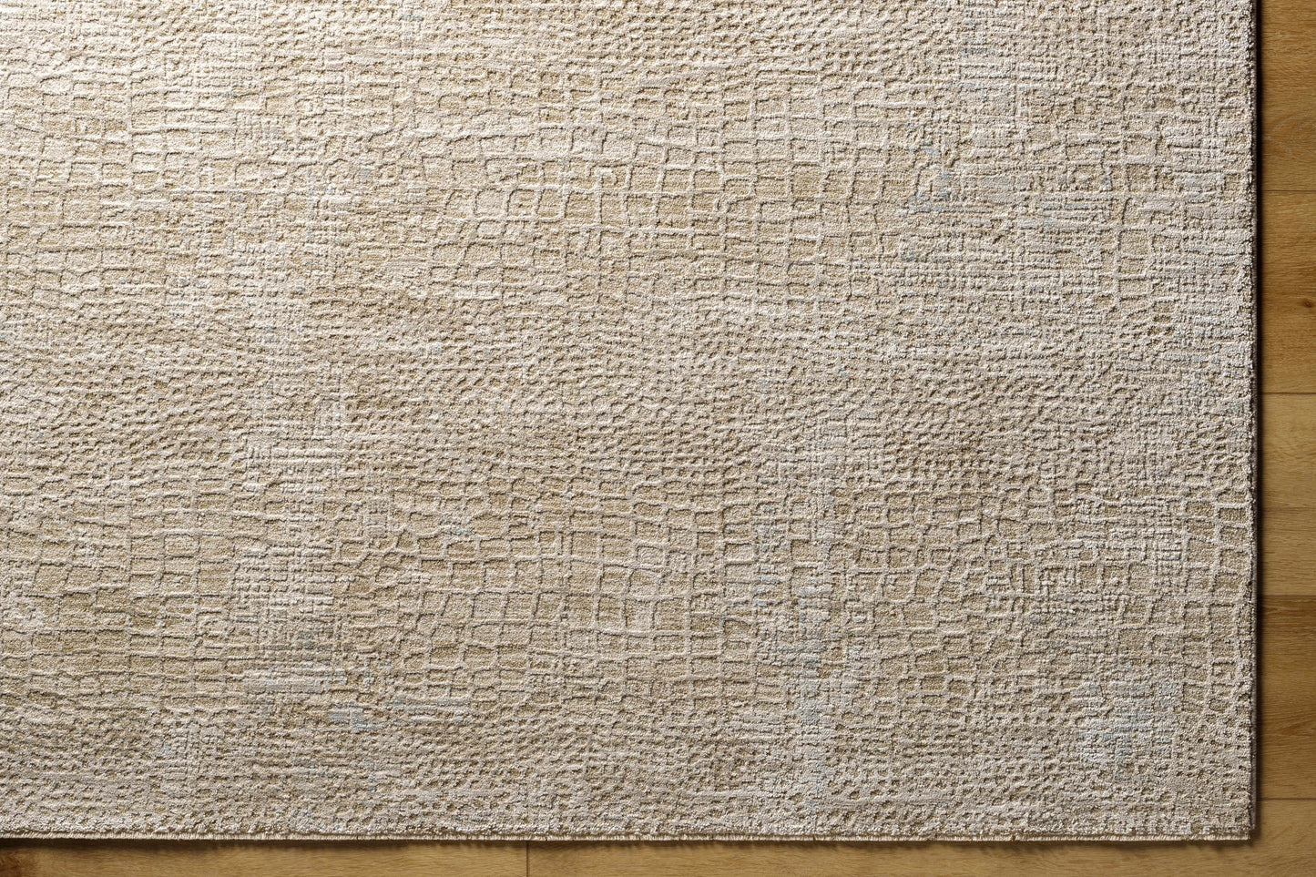 Laina Area Rug-2