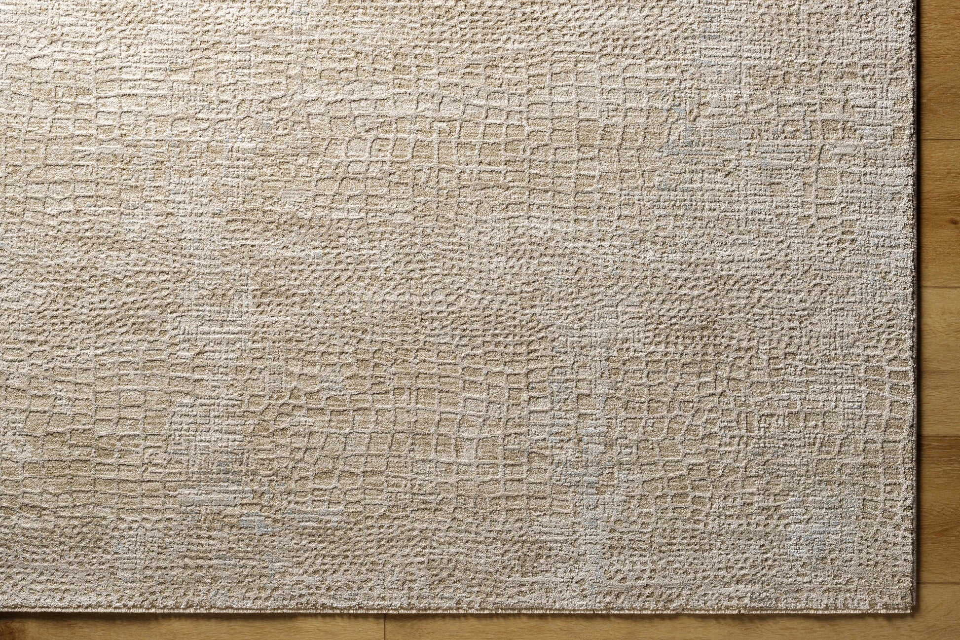 Laina Area Rug-2