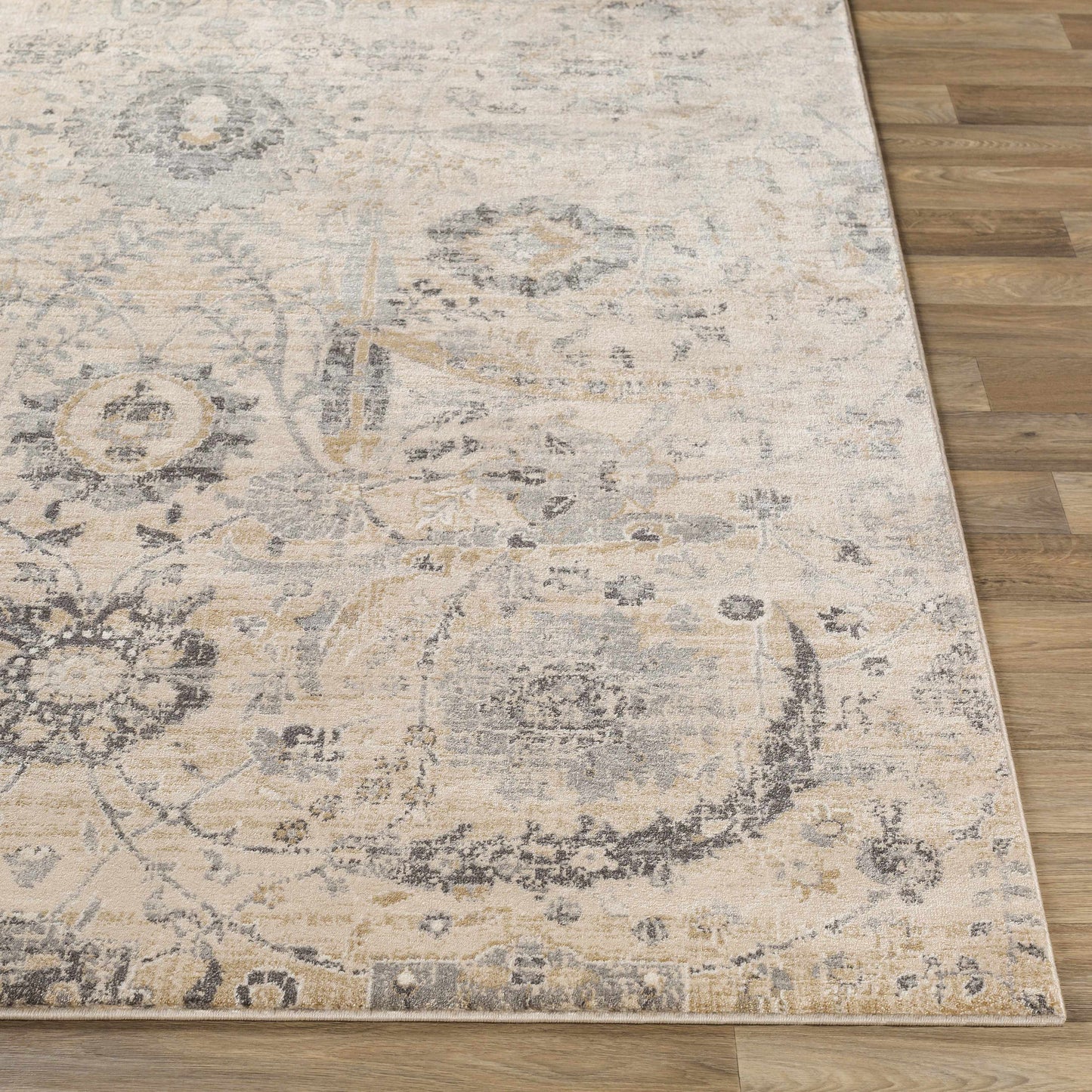 Georgiana Beige Area Rug-4