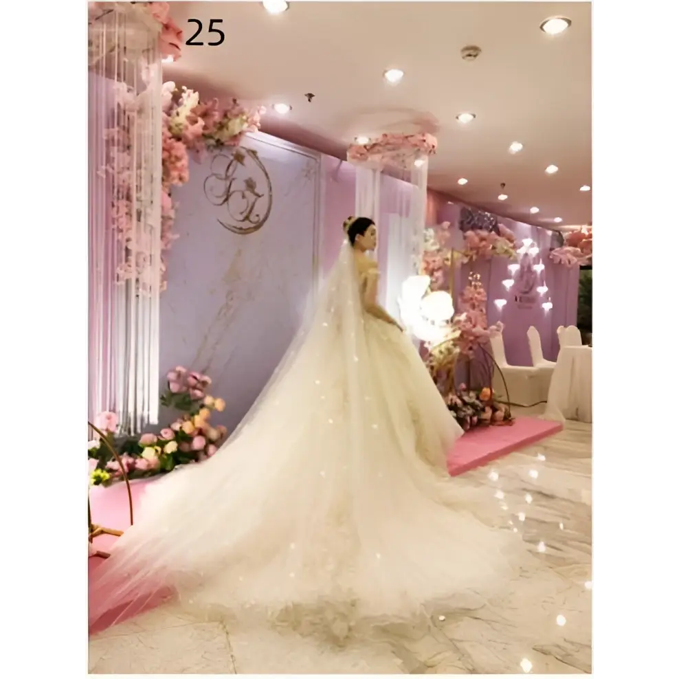 Sparkling Wide Style Bridal Wedding Dress Veil