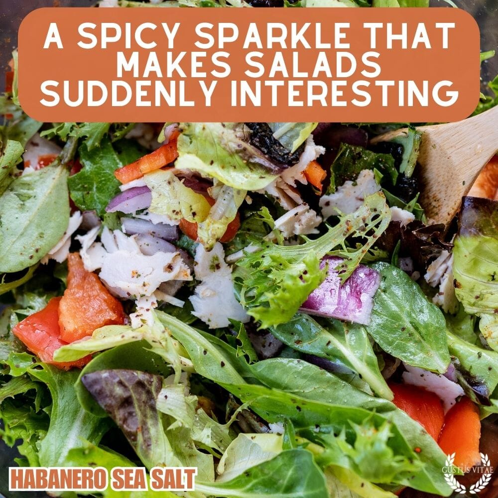 Spicy Habanero Sea Salt-4