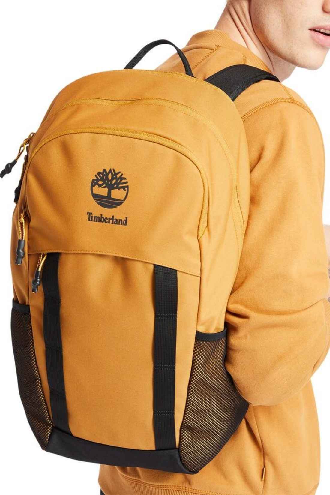 TIMBERLAND - Men's Calverton backpack-1