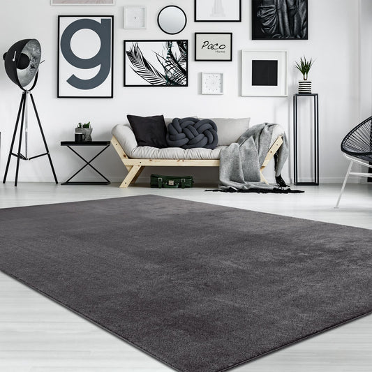 Soft Area Rug with Anti-Slip Backing Washable - Dark Gray-0