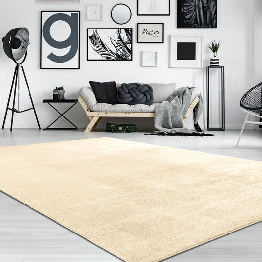 Soft Area Rug with Anti-Slip Backing Washable - Beige-0