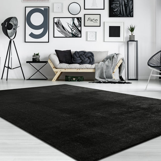 Soft Area Rug with Anti-Slip Backing Washable - Black-0