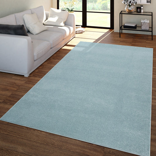 Solid Flatweave Rug Porto for Living Room - Light Blue-0