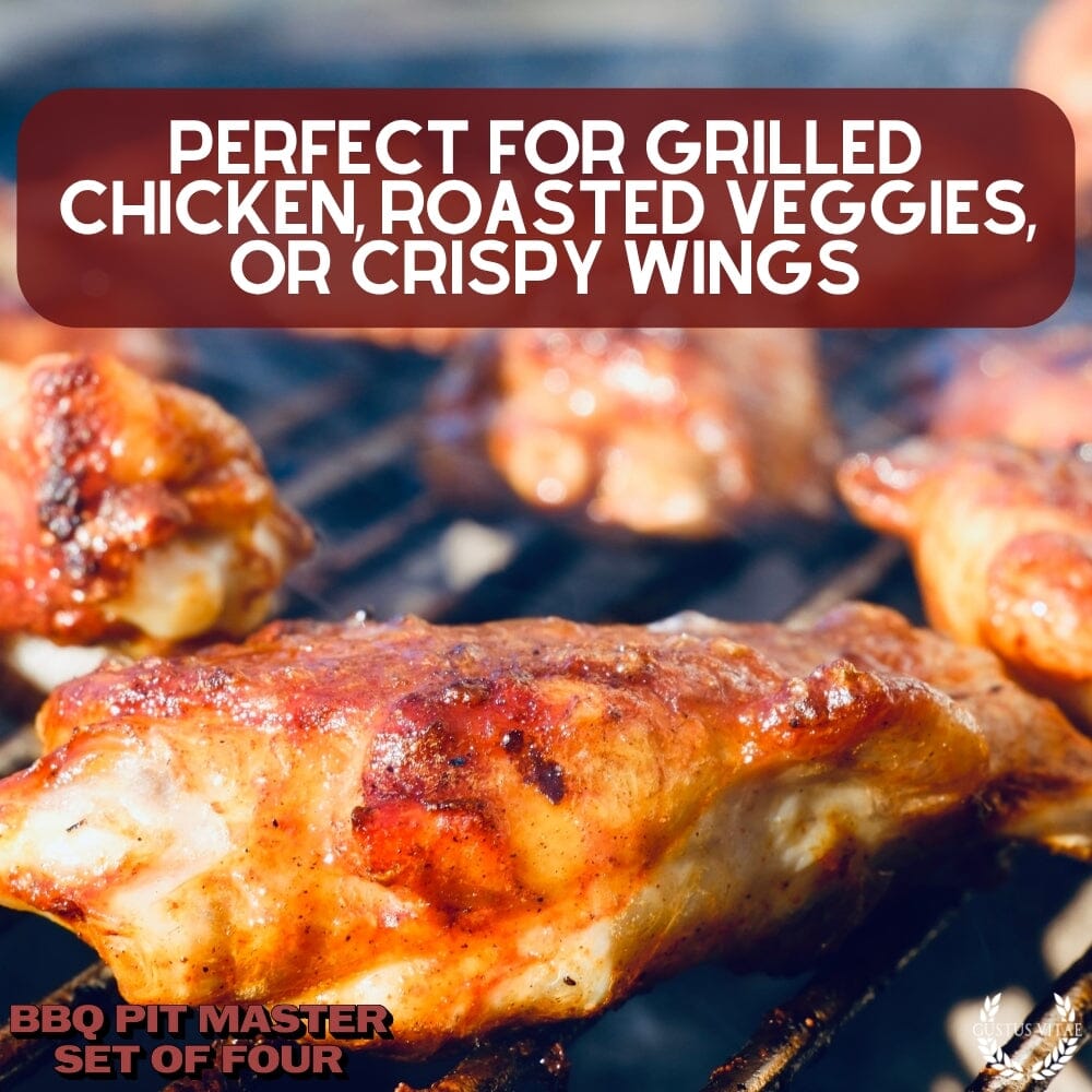 BBQ Pit Master | Set of 4-1