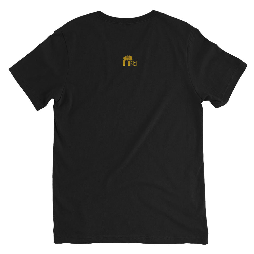 Lion of Judah Men's V-Neck Tee