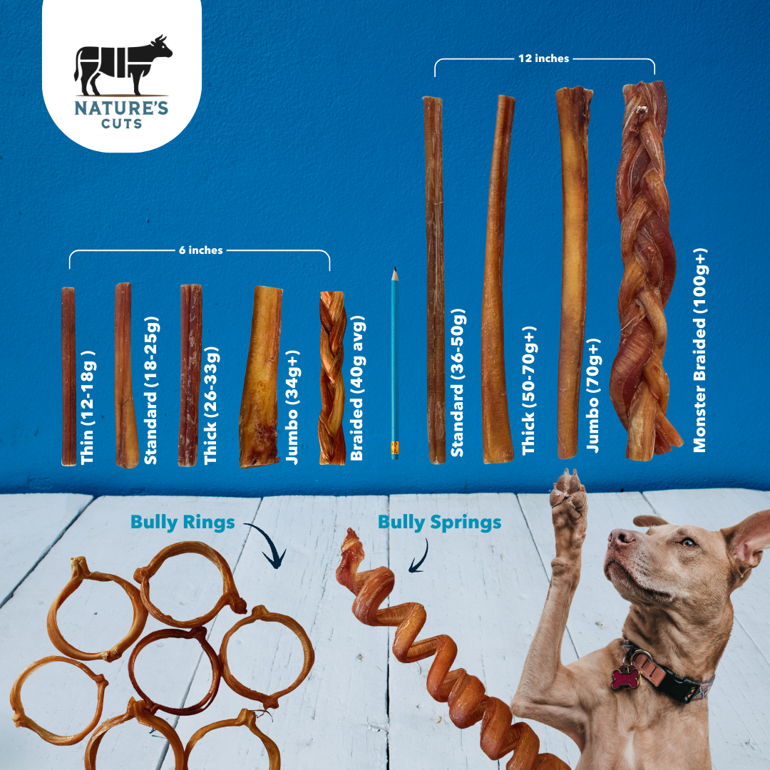 6" Standard Braided Bully Sticks Display Box-4