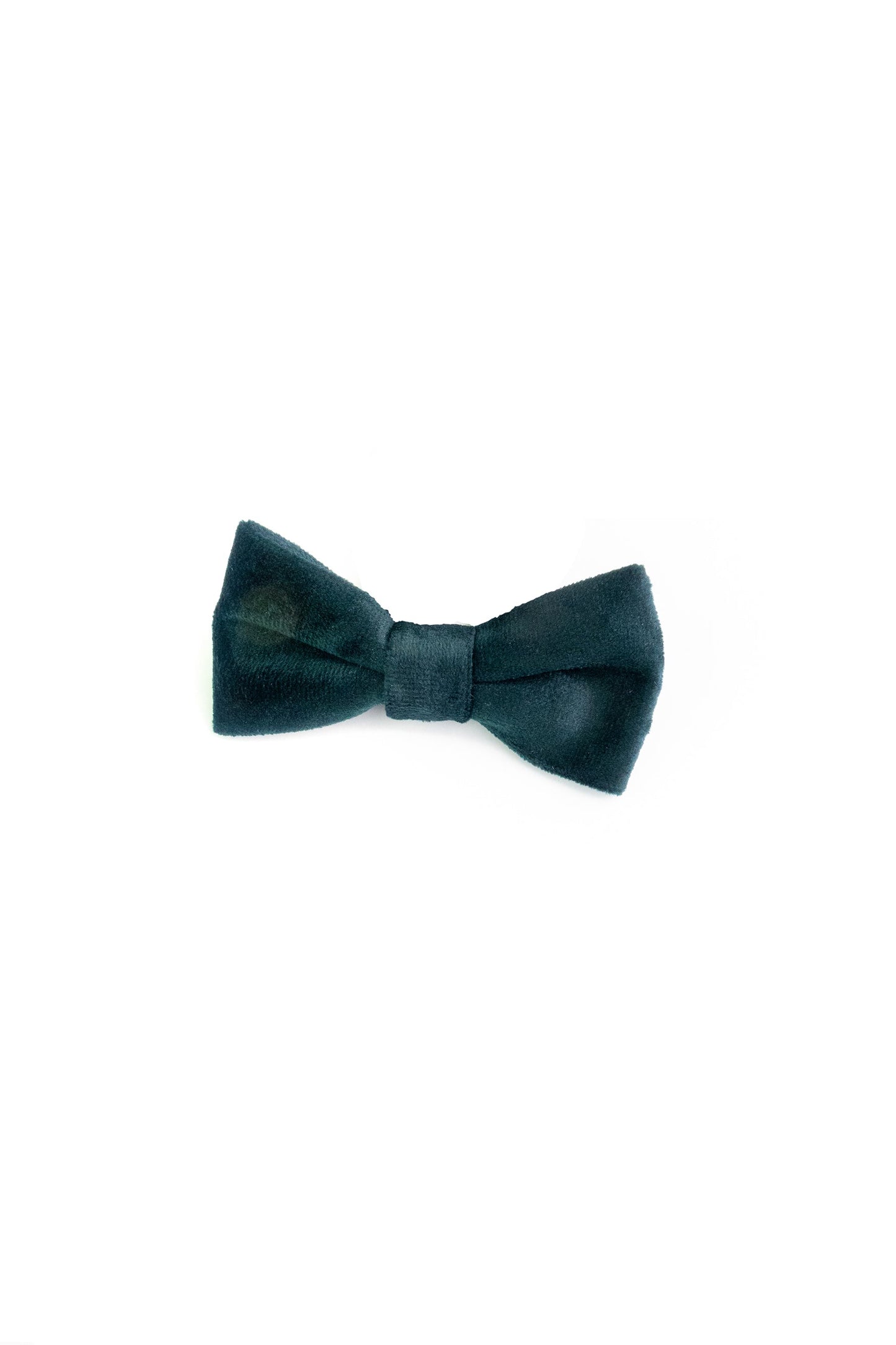 Appaman - Bow Ties