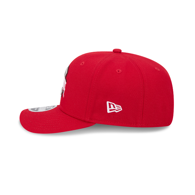 Ohio State Buckeyes - NCAA 9seventy Stretch Snap Hat, New Era