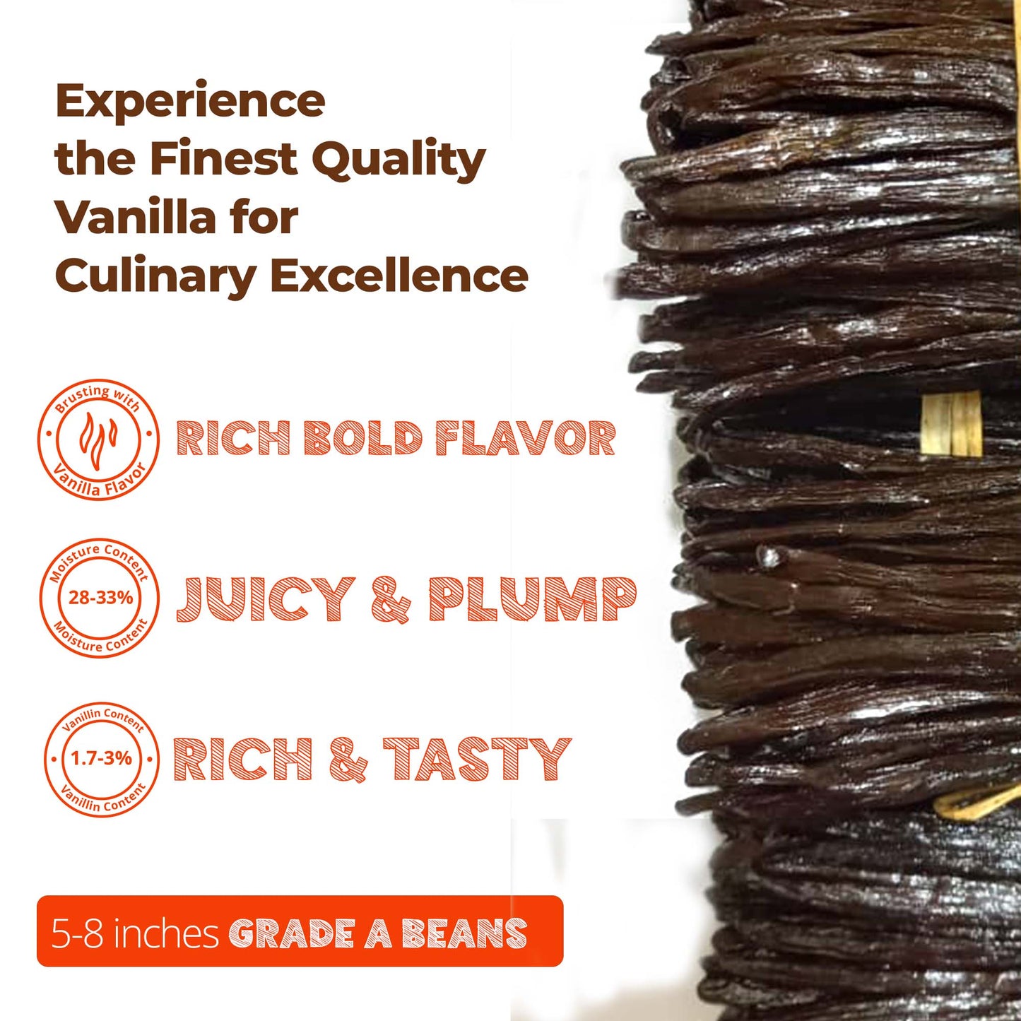 Premium Vanilla Bean Pods – Bulk 1 lb from NY Vanilla